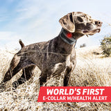 Sport Dog FieldSentinel™ 825 Remote Trainer with BodyGuard Technology - FS-825