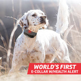 SportDOG Brand FieldSentinel 1825: Health Alert Remote Trainer - FS-1825