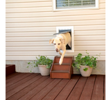 PetSafe Wall Entry Pet Door (Large)