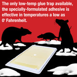CATCHMASTER Cold Temperature Mouse Size Glue Traps 72 Pc (12-6 packs)