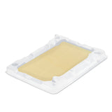 CATCHMASTER Cold Temperature Mouse Size Glue Traps 72 Pc (12-6 packs)