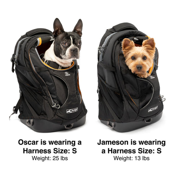 G-Train K9 Pack V2 - Black