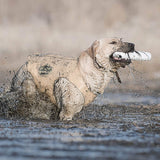 SportDOG Brand® White Jumbo Plastic Dummy - SAC00-11674