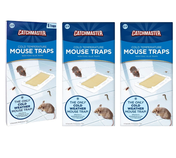 Cold Temperature Mouse Size Glue Traps 18 Pc (3-6 packs)- 106WRG-3