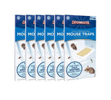 Cold Temperature Mouse Size Glue Traps 36 Pc (6-6 packs)- 106WRG-6