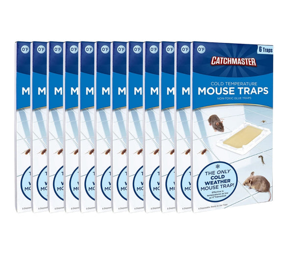 Cold Temperature Mouse Size Glue Traps 72 Pc (12-6 packs)- 106WRG-12