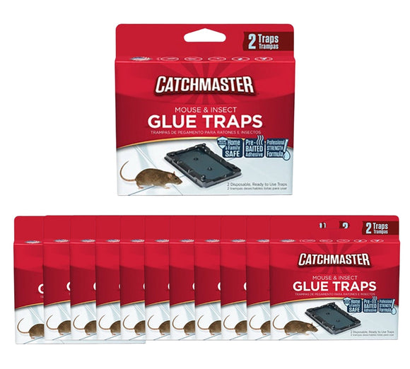 Mouse Size Glue Traps-24 Pc. (12-2 Packs) - 102-12